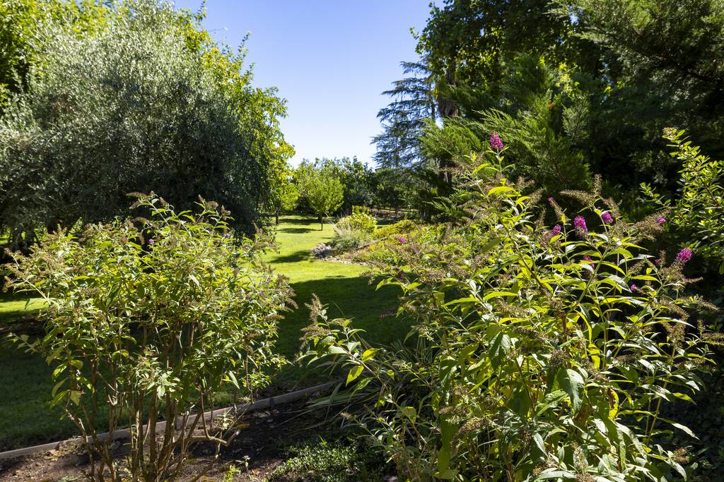 Garden paths