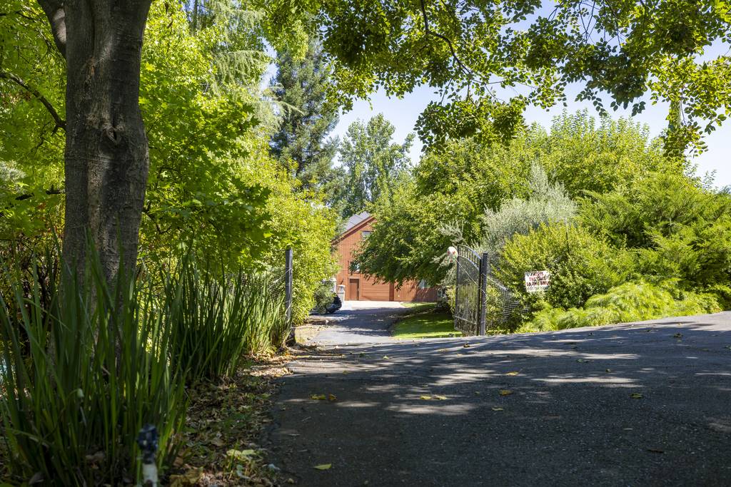Driveway to the barn
