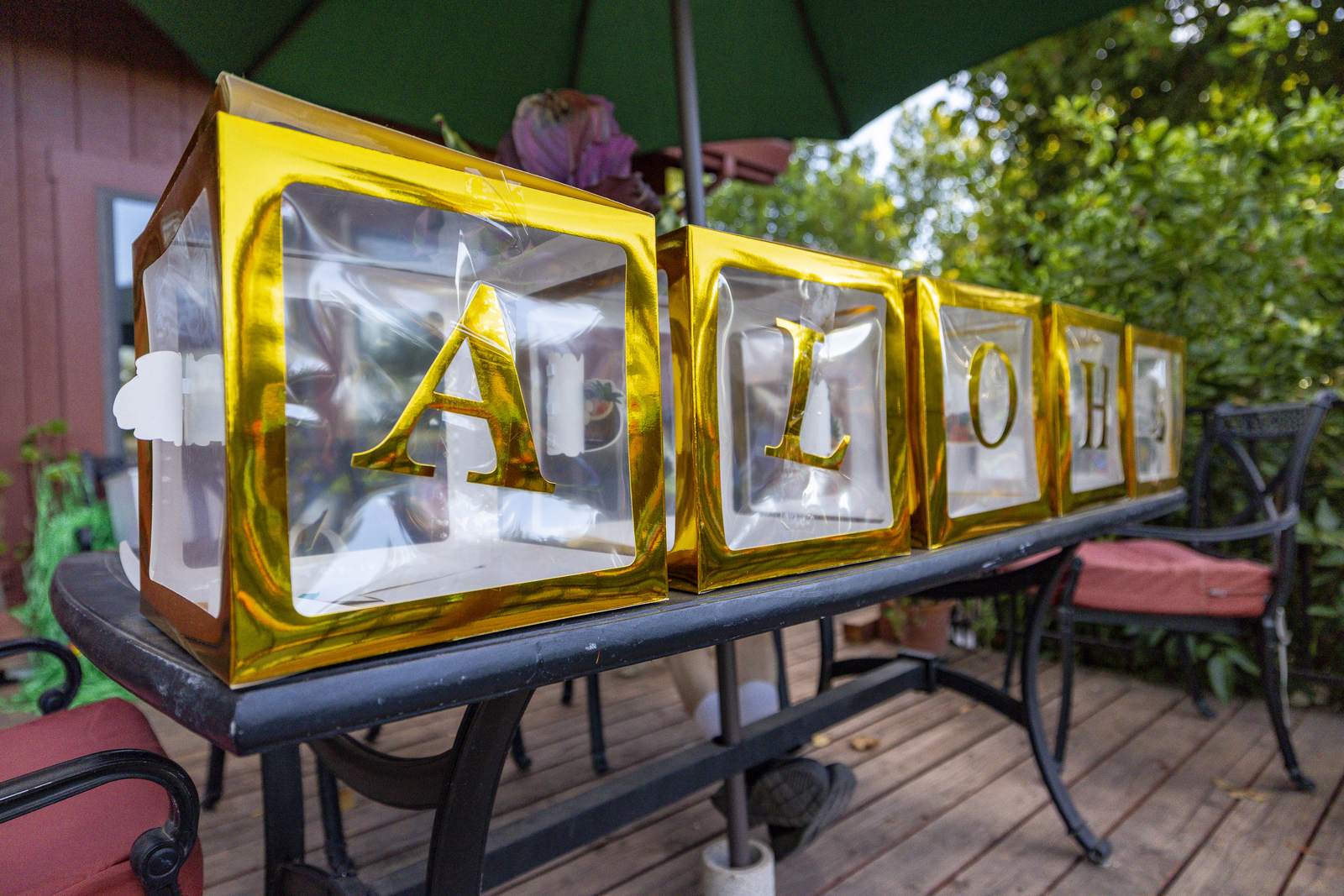 Aloha party decorations
