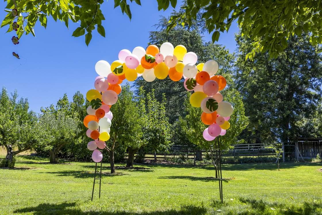 Balloon arch on the lawn