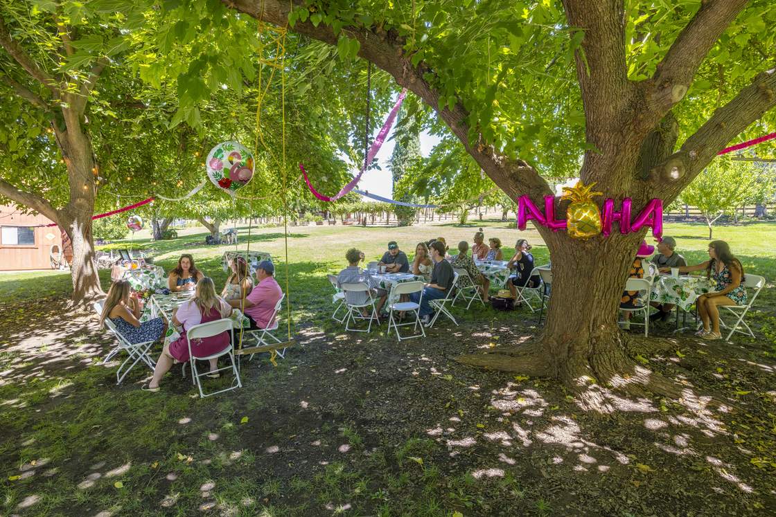 Party tables under the trees
