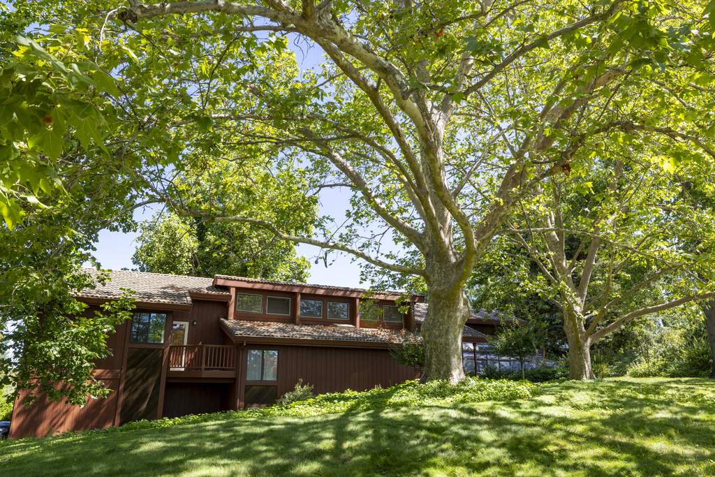 The house and shade trees