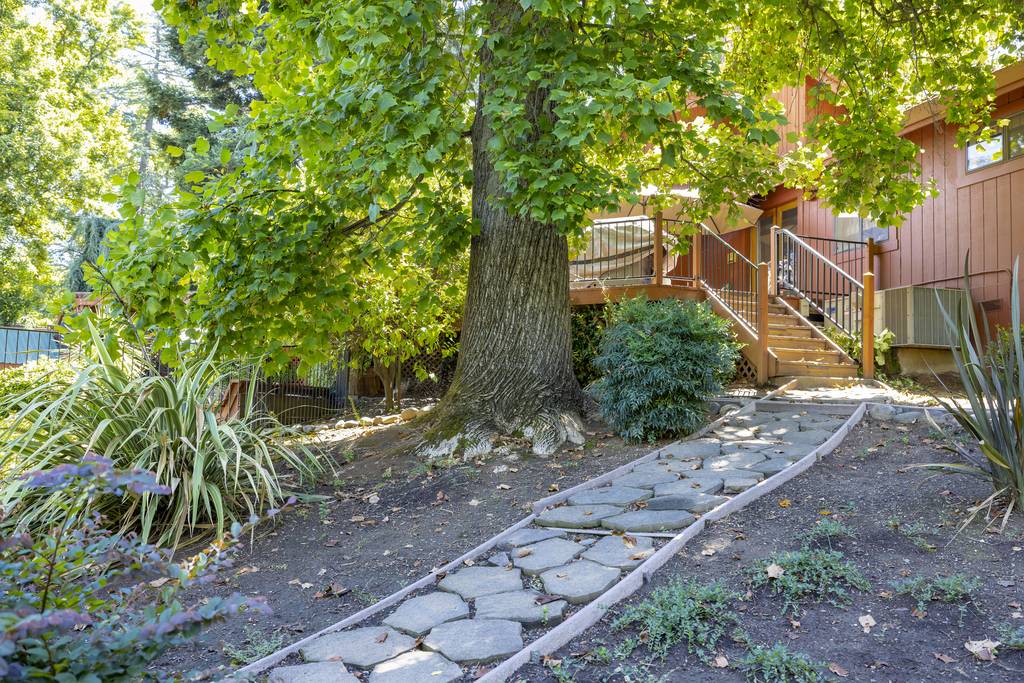 Garden path