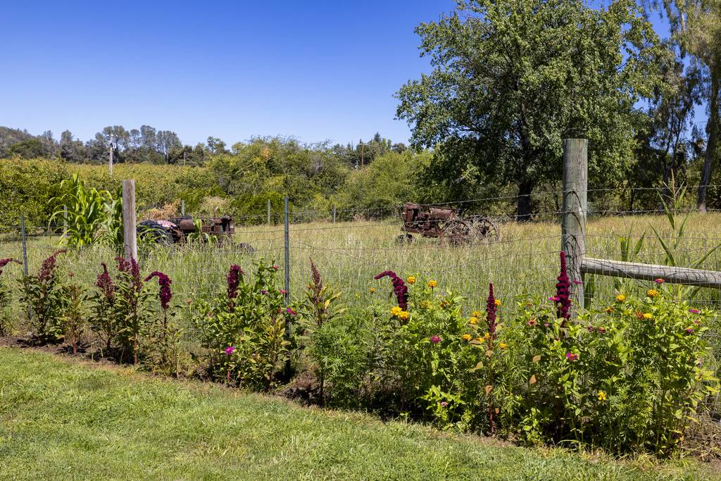 Flower garden and tractors
