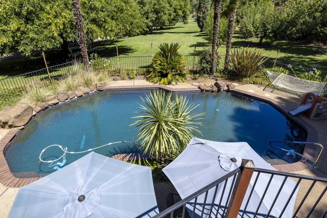 Pool overlooking the orchard