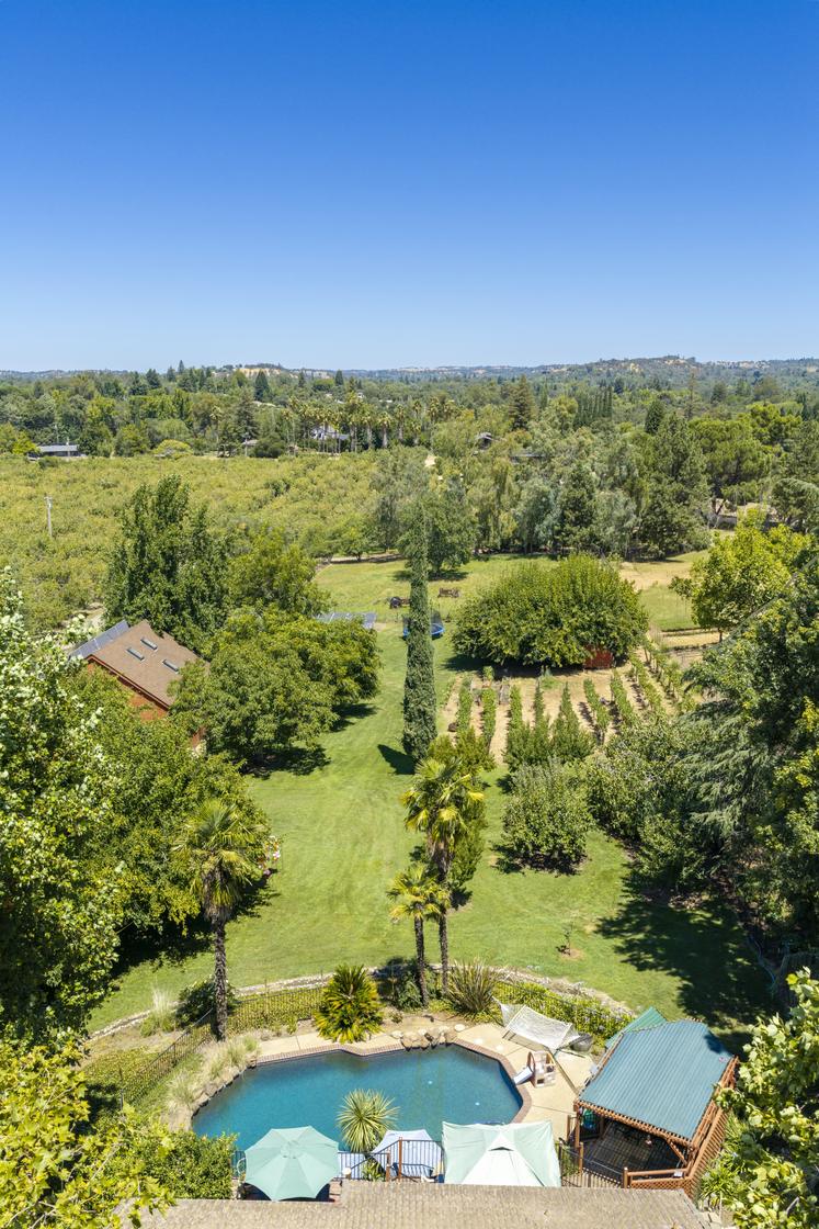 Aerial view of the grounds