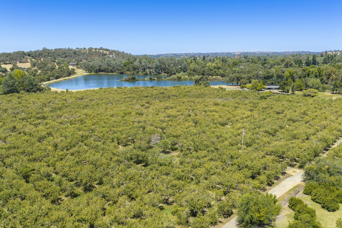 Aerial view of the orchards and lake