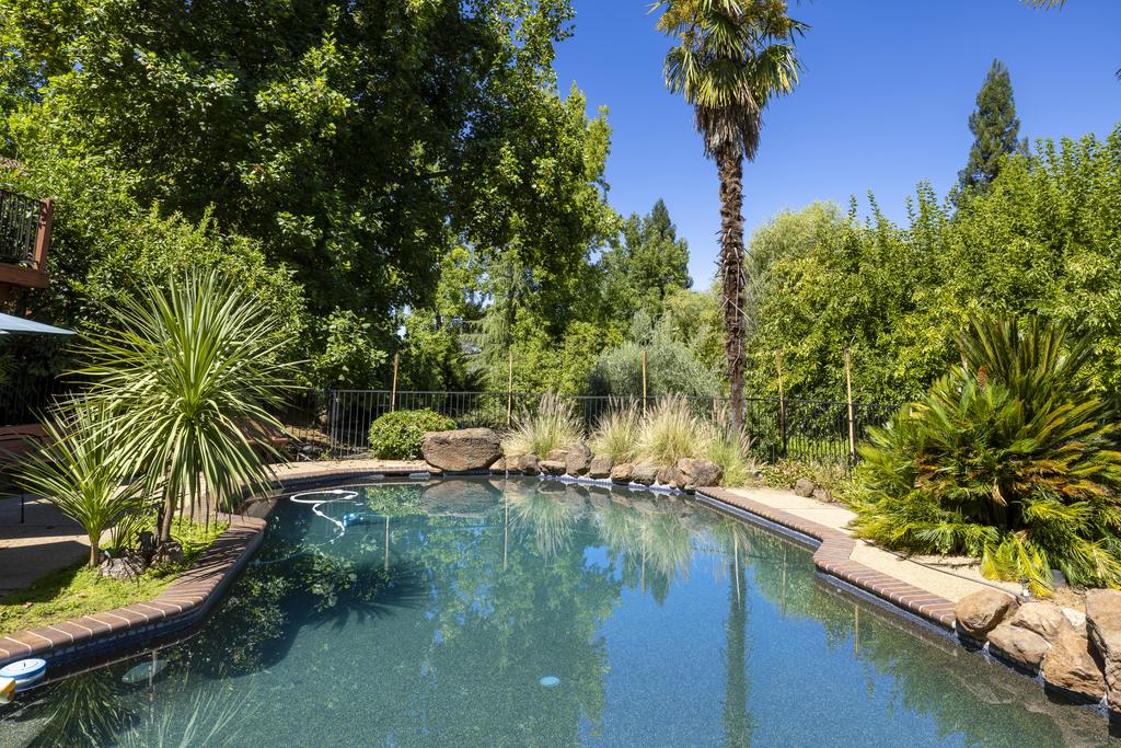 Pool and palm trees