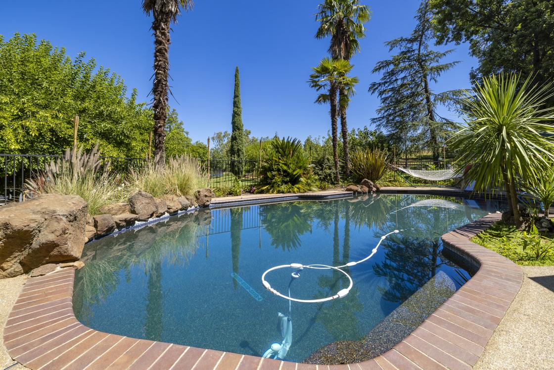 Pool and landscaping